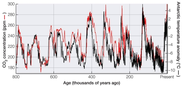 Refer to the graph.   According to the graph, what conclusion can be drawn regarding the relationship between atmospheric CO<sub>2</sub> concentrations and Antarctic temperatures? A)  The two factors show no correlation over the past 800,000 years. B)  When CO<sub>2</sub> levels increase, temperatures increase. C)  Increasing CO<sub>2</sub> is correlated with increasing but not decreasing temperatures. D)  The two factors were correlated 800,000 years ago, but they are not today. E)  The two factors were not correlated 800,000 years ago, but they are today.