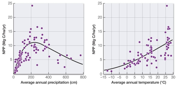 Refer to the graphs, showing global patterns of changes in NPP with changing temperatures and precipitation.   In the boreal forest, or taiga, average annual precipitation is between 20 and 200 cm, depending on location, and the average annual temperature varies between -5°C and +5°C.This suggests that the NPP of the boreal forest is _______ mg C/ha/yr. A)  less than 1 B)  between 1 and 5 C)  between 5 and 10 D)  between 10 and 12 E)  between 12 and 15