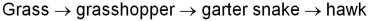A segment of a food web includes the following interactions:   In this example, _______ has the lowest trophic efficiency, and the _______ level supports the lowest biomass. A)  grass <font face= symbol ></font> grasshopper; hawk B)  grass <font face= symbol ></font> grasshopper; grasshopper C)  grasshopper <font face= symbol ></font> garter snake; garter snake D)  garter snake <font face= symbol ></font> hawk; hawk E)  garter snake <font face= symbol ></font> hawk; grass
