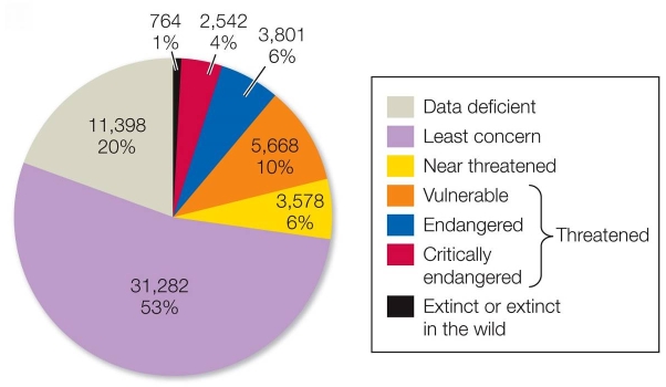 Refer to the graph.   The graph shows the breakdown by extinction risk category of the species assessed by the International Union for Conservation of Nature (IUCN) .Based on the graph, what percentage of species in the world are considered threatened? A)  10 percent of all species so far assessed B)  20 percent of all species so far assessed C)  6 percent of all species in the world D)  10 percent of all species in the world E)  20 percent of all species in the world