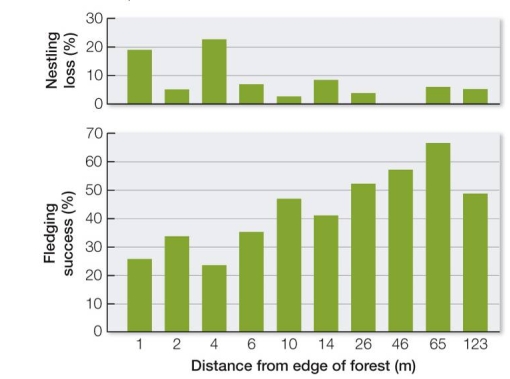 Refer to the graphs.   The graphs illustrate edge effects on bird populations in a forest environment that has been fragmented.Bird populations are compromised when their nests host eggs of cowbirds, which live in forest edge habitats.Explain what the graphs show about the effects of forest edge environments on nesting success.What factors related to human activity tend to increase edge effects?