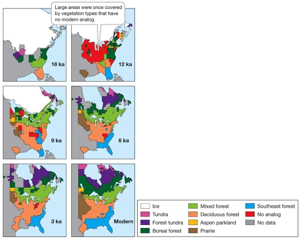 Refer to the figure.   Study the maps showing changes in vegetation in the eastern United States since the last ice age, 18,000 years ago (18 ka).Describe the change in patterns for mixed forest, deciduous forest, and southeast forest.What general conclusions can you draw about the movement of vegetation as ice melted and receded to the north? How does this pattern relate to changes occurring today?
