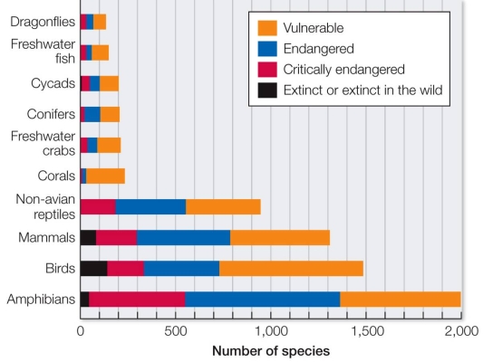 Refer to the graph.   So far, the IUCN has assessed more than 76,000 species, but there are at least 8.7 million species on Earth (probably more) , and most of them are invertebrates.Few plants and invertebrates have been assessed.Their list of at-risk organisms is heavily skewed toward vertebrates, which are larger and easier to measure.Given this knowledge, what is the most reasonable conclusion that can be drawn regarding the at-risk groups shown on the graph? A)  Of the species assessed, amphibians have by far the most species at risk. B)  Of the species assessed, most are likely to go extinct eventually. C)  Most dragonfly and other insect species are not at risk. D)  Vertebrates are most at risk because they are the most important organisms. E)  Even after new species are assessed, few plant species will be at risk.