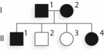 Given what you know of the inheritance pattern of SCD,is the following pedigree representative of a typical SCD pedigree?   A) Yes;this is a dominant pedigree,and SCD exhibits dominant inheritance. B) Yes;this is a recessive pedigree,and SCD exhibits recessive inheritance. C) No;this is a dominant pedigree,and SCD exhibits recessive inheritance. D) No;this is a recessive pedigree,and SCD exhibits dominant inheritance. E) Another generation is needed before you can determine mode of inheritance.