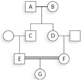 Given the following pedigree, what is the coefficient of inbreeding for individual G?     Use Key Analytic Tool pedigree in Chapter 20, page 402 from SGSM  A)  1/32 B)  1/8 C)  1/4 D)  1/16 E)  1/64