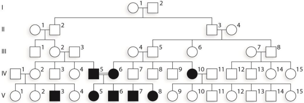 In the accompanying figure, if individual IV- 7 has three children with individual IV- 2 what is the probability (to the nearest hundredth)  that they would have exactly two affected offspring?   A)  0.44 B)  0.67 C)  0.17 D)  0.02 E)  0.07