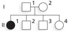 The pedigree suggests which mode of inheritance for an allele on chromosome 15?   