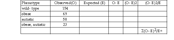 A geneticist is investigating the inheritance of two autosomal recessive genes in mice, one for obesity (LEP) and for autism (oprm1). The table below provides the number of offspring observed, for each phenotype, when dihy mice are crossed:   Fill in the table above and determine: a. the chi- square (ç²) value (to the nearest hundredth) for the chance hypothesis that the two genes assort independently b. the degrees of freedom c. whether or not you would reject your chance hypothesis that the two genes assort independently, based on y approximate P value, and the justification for why<div style=padding-top: 35px> 