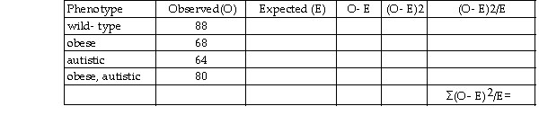 A geneticist is investigating the inheritance of two autosomal recessive genes in mice, one for obesity (LEP) and another for autism (oprm1). The table below provides the number of offspring observed, for each phenotype, when dihybrid mice are testcrossed:   Fill in the table above and determine: a. the chi- square (ç²) value (to the nearest hundredth) for the chance hypothesis that the two genes assort independently b. the degrees of freedom c. whether or not you would reject your chance hypothesis that the two genes assort independently, based on approximate P value, and the justification for why<div style=padding-top: 35px> 