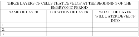 Describe the three layers of cells that develop at the beginning of the embryonic period.   