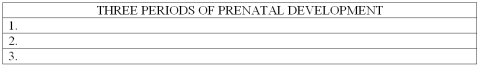 List the three periods of prenatal development.   