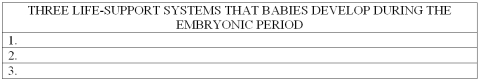 List the three life-support systems that develop during the embryonic period for babies.   