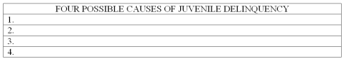 List four possible causes of juvenile delinquency.   