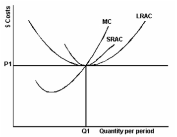 The following graph depicts the various cost curves for a representative competitive firm producing quantity Q1:    -Refer to the above graph to answer this question. If the price of the product is P1, what does the graph suggest? A)  The firm is operating from the optimal size plant but is not necessarily producing the optimal output. B)  The firm is producing the optimal output but is not necessarily operating from the optimal size plant. C)  The firm is neither operating from the optimal size plant nor necessarily producing the optimal output. D)  The firm is producing the optimal output and is also operating from the optimal size plant.