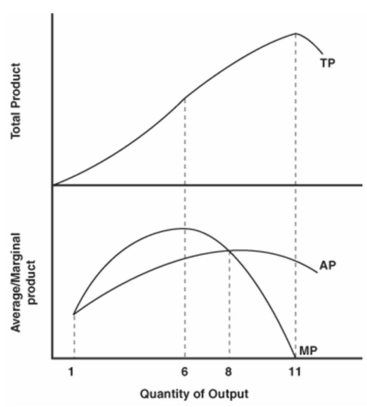   -Refer to the graph above to answer this question. What is the most productive output? A)  1. B)  6. C)  8. D)  11.