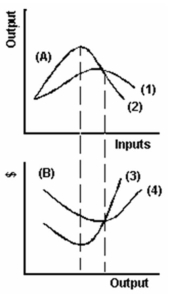   -Refer to the graph above to answer this question. Which of the following statements is correct? A)  Marginal product and marginal cost reach their minimum levels at the same output. B)  Average product and average cost reach their maximum levels at the same output. C)  AVC cuts MC at the latter's minimum point. D)  AP is at a maximum when ATC is at a minimum. E)  AP is at a maximum when AVC is at a minimum.