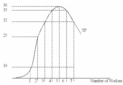  The diagram below shows the production function for Clean-Like-New car wash business. Number of Washed Cars   (a) Compute the total product, marginal product, and the average product values in the following table:  \begin{array} { | c | c | c | c | }  \hline \begin{array} { c }  \text { Number of } \\ \text { Workers } \end{array} & \begin{array} { c }  \text { Total } \\ \text { Product } \end{array} & \begin{array} { c }  \text { Marginal } \\ \text { Product } \end{array} & \begin{array} { c }  \text { Average } \\ \text { Product } \end{array} \\ \hline 0 & & & \\ \hline 1 & & & \\ \hline 2 & & & \\ \hline 3 & & & \\ \hline 4 & & & \\ \hline 5 & & & \\ \hline 6 & & & \\ \hline 7 & & & \\ \hline \end{array}  (b) At what outputs do increasing marginal productivity occur? (c) At what output does diminishing marginal productivity begin? 