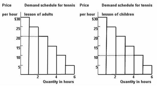 <strong> Refer to the graph above to answer this question. The graph shows a tennis coach charges $20 per hour for tennis lessons for adults and $10 per hour for tennis lessons for children. The tennis coach is practicing:</strong> A) Peak load pricing B) Three part pricing C) Price discrimination D) Bundling E) All of the choices are correct.