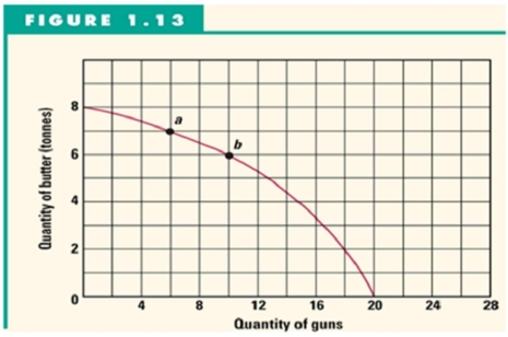 Figure 1.13 shows Mendork's production possibility curve for the only two goods that it produces-guns and butter.    -Refer to Figure 1.13 to answer this question. What is the opportunity cost of producing 2 tonnes of butter? A)  2 guns. B)  18 guns. C)  20 guns. D)  The answer cannot be determined from the information given.