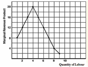 Below is a graphical illustration of Nearly Done Inc.'s marginal revenue product.The firm employs its labour in a perfectly competitive labour market.    -Which of the following statements is correct regarding the market supply of labour curve? A) It is perfectly elastic. B) It is upward sloping and relatively elastic. C) It is upward sloping and relatively inelastic. D) It is perfectly inelastic.