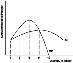The graph below illustrates the average and marginal product of labour for Get Smart Enterprises.    -Refer to the graph above to answer this question.How many units of labour does the firm need to employ to achieve economic capacity? A) 3. B) 6. C) 9. D) 12. E) Cannot be determined.