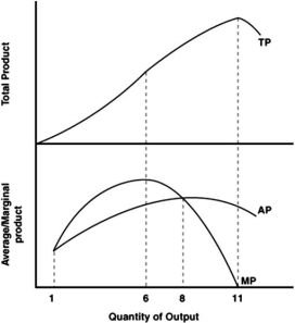   -Refer to the graph above to answer this question.What is true at maximum total output? A) It is the most productive output. B) It is where diminishing returns begin. C) It is where marginal product is at a maximum. D) It is where marginal product is zero.