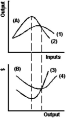   -Refer to the graph above to answer this question.Which of the following statements is correct? A) Curve 1 illustrates marginal product while curve 3 illustrates average variable cost. B) Curve 1 illustrates average variable cost while curve 3 illustrates marginal product. C) Curve 1 illustrates average product while curve 3 illustrates average variable cost. D) Curve 2 illustrates marginal product while curve 3 illustrates average variable cost. E) Diminishing returns are best illustrated by curves 2 and 3.