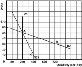 The graph below illustrates three demand curves.    -Refer to the graph above to answer this question.Between the price range of $50 and $60,which of the three demand curves is the most elastic? A) D<sub>1</sub>. B) D<sub>2</sub>. C) D<sub>3</sub>. D) Cannot be determined.