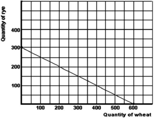 Below is a production possibilities curve for a large tract of prairie farm land.    -Refer to the graph above to answer this question.If 150 units of rye are currently being produced,what is the cost of producing 50 more units of rye? A) 25 units of wheat. B) 50 units of wheat. C) 100 units of wheat. D) 400 units of wheat. E) Cannot be determined.