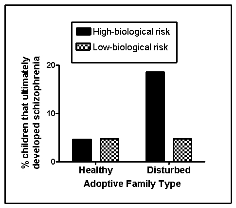 Use the following to answer questions  Scenario II The following scenario presents fabricated data consistent with the results of the following study: Tienari,P. ,Wynne,L.C. ,Sorri,A. ,Lahti,I. ,Läksy,K. ,Moring,J. ,& ...Wahlberg,K.(2004) .Genotype-environment interaction in schizophrenia-spectrum disorder: Long-term follow-up study of Finnish adoptees.The British Journal of Psychiatry,184(3) ,216-222.doi:10.1192/bjp.184.3.216 Schizophrenia affects approximately 1% of the general population and is characterized by the profound disruption of basic psychological processes;a distorted perception of reality;altered or blunted emotional affect;and disturbances in thought,motivation,and behavior.The symptoms of schizophrenia are varied and are typically classified as either positive or negative.Positive symptoms of schizophrenia refer to thoughts and behaviors typically not observed in those without the disease and can include things like delusions (patently false beliefs) ,hallucinations (false perceptual experiences) ,and disorganized speech.Negative symptoms of schizophrenia are deficits or disruptions in normal behaviors,such as social withdrawal.Cognitive deficits in executive functioning,attention span,and working memory may also be observed. The symptoms of schizophrenia usually begin in late adolescence and the disease has a strong genetic component.Over the years,a number of biological factors have been linked to schizophrenia,although none alone adequately accounts for the disorder.One such example is the dopamine hypothesis,which states that schizophrenia is related to an excess in dopamine activity.Another theory points to enlarged brain ventricles and progressive cortex tissue loss as predictive of schizophrenia.Although only a minority of persons with schizophrenia have enlarged ventricles,this structural anomaly can appear in those without the disease,and dopamine antagonists may also produce this effect. Although research into the environmental determinants of schizophrenia has focused largely on the prenatal environment,psychological and social factors also contribute.Tienari and colleagues (2004) compared the risk of developing schizophrenia in children adopted into healthy versus disturbed families,the latter characterized by extreme conflict,volatile relationships,and communication deficits.Some of these children under investigation were identified as at-risk genetically for schizophrenia because their biological mothers were schizophrenic.The remainder were classified at low risk.The investigators utilized a longitudinal design and obtained the diagnostic status of the children with respect to schizophrenia when they reached young adulthood.Fabricated results consistent with this study are shown in Figure 15.2 Figure 15.2   -(Scenario II) The dopamine hypothesis of schizophrenia was developed in large part due to research on the effects of psychoactive drugs in the brain.Which statement does that research NOT support? A) Drugs that cause excessive dopamine release,such as methamphetamine,mimic some of the symptoms of schizophrenia. B) Drugs that block the reuptake of dopamine,such as cocaine,mimic some of the symptoms of schizophrenia. C) Drugs that block the functions of dopamine,such as chlorpromazine,may reduce some symptoms of schizophrenia. D) Drugs that begin reducing dopamine levels immediately quickly reduce symptoms of schizophrenia more quickly than do drugs with more delayed onsets of action.