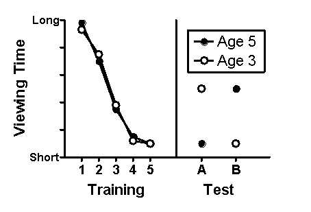 Use the following to answer questions  Scenario I Scenario I is based on and presents fabricated results consistent with the following study: Kim,I.K. ,& Spelke,E.S.(1992) .Infants' sensitivity to effects of gravity on visual object motion.Journal of Experimental Psychology: Human Perception and Performance,18(2) ,385-393. Kim and Spelke (1992) investigated the extent to which infants have expectancies of gravitational effects on visual object motion.Infants of 3 and 5 months of age repeatedly watched a video of a ball accelerating as it rolled down an incline until they spent little time actively looking at it.Subsequently,two types of test trials were conducted in randomized order.Type A test trials consisted of a ball slowing down as it rolled up an incline.Type B test trials consisted of a ball slowing down as it rolled down an incline.During all trials,the amount of time looking at each visual display was recorded.Fabricated data consistent with the major finding of this study are presented in Figure 11.1. Figure 11.1 Note that  Age 5  and  Age 3  in the legend refer to months of age.   -(Scenario I) Kim and Spelke (1992) utilized a simple form of learning termed _____ to investigate their research question. A) extinction B) object permanence C) the false-belief test D) habituation