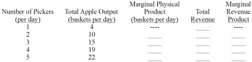 The following table shows how apple output changes as additional apple pickers are hired.Calculate marginal physical product,total revenue,and marginal revenue product.The price of apples is $4 per basket. Table 8.1-Apple Production   -In Table 8.1,what is the marginal revenue product of the 2<sup>nd</sup> apple picker? A)  $6. B)  $10. C)  $24. D)  $40.