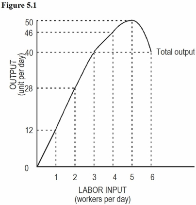 Figure 5.1:   -In Figure 5.1,diminishing marginal returns first occur with the: A)  Second worker. B)  Third worker. C)  Fifth worker. D)  Sixth worker.