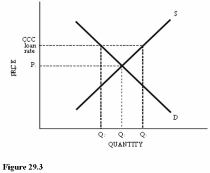 <strong> Refer to Figure 29.3 for a cotton market with an equilibrium price of P<sub>1</sub> and a Commodity Credit Corporation (CCC)loan rate set above P<sub>1</sub>.If the CCC loan rate is increased,the</strong> A)Surplus in the market will become larger. B)Surplus in the market will become smaller. C)Shortage in the market will become larger.