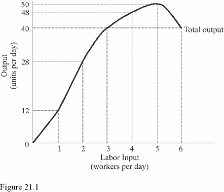   In Figure 21.1,diminishing marginal returns first occur with the A) Fifth worker. B) Fourth worker. C) Third worker.