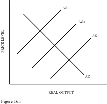   Refer to Figure 16.3.A shift from AS<sub>1</sub> to AS<sub>2</sub> could be caused by A) An increase in immigration restrictions. B) An increase in OSHA regulations. C) An increase in environmental regulations. D) A decrease in tariffs on imported goods.