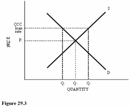   Refer to Figure 29.3 for a cotton market with an equilibrium price of P<sub>1</sub> and a Commodity Credit Corporation (CCC)  loan rate set above P<sub>1</sub>. If the CCC loan rate is increased, the A)  Surplus in the market will become larger. B)  Surplus in the market will become smaller. C)  Shortage in the market will become larger. D)  Shortage in the market will become smaller.