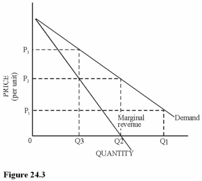   Refer to Figure 24.3. Which of the following statements is true about the price elasticity of demand at price P<sub>2</sub>? A)  The price elasticity is elastic. B)  The price elasticity is unitary. C)  The price elasticity is inelastic. D)  The price elasticity is zero.