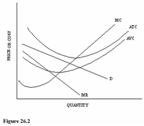   Refer to Figure 26.2 for a monopolistically competitive firm.At the profit-maximizing output and price, this firm is producing at an output level that achieves A)  Productive efficiency. B)  Allocative efficiency. C)  Maximum economies of scale. D)  Neither productive nor allocative efficiency.