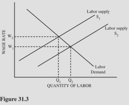   Refer to Figure 31.3 for a competitive labor market.A shift in labor supply from S<sub>1</sub> to S<sub>2</sub> could be caused by: A) An increase in the wage rate. B) The unionization of another,separate labor market. C) An increase in the price of the product being produced. D) An increase in the price of machinery used in the production of the product.