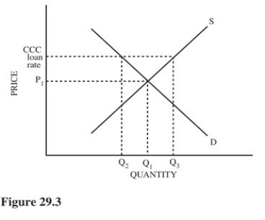   Refer to Figure 29.3 for a cotton market with an equilibrium price of P<sub>1</sub> and a Commodity Credit Corporation (CCC) loan rate set above P<sub>1</sub>.Given this situation,cotton farmers are most likely to A) Sell their cotton on the market and repay the CCC loan with the proceeds plus other funds to make up the difference. B) Sell their cotton on the market and repay only a portion of the CCC loan. C) Give their cotton to the CCC and not repay the loan. D) Leave the cotton farming business.