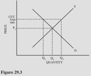   Refer to Figure 29.3 for a cotton market with an equilibrium price of P<sub>1</sub> and a Commodity Credit Corporation (CCC) loan rate set above P<sub>1</sub>.If the CCC loan rate is increased,the A) Surplus in the market will become larger. B) Surplus in the market will become smaller. C) Shortage in the market will become larger. D) Shortage in the market will become smaller.