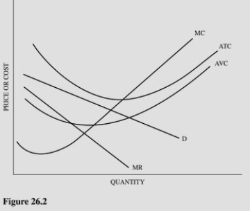   Refer to Figure 26.2 for a monopolistically competitive firm.At the profit-maximizing output and price,this firm is producing at an output level that achieves A) Productive efficiency. B) Allocative efficiency. C) Maximum economies of scale. D) Neither productive nor allocative efficiency.