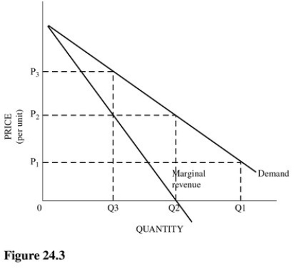   Refer to Figure 24.3.Which of the following statements is true about the price elasticity of demand at price P<sub>2</sub>? A) The price elasticity is elastic. B) The price elasticity is unitary. C) The price elasticity is inelastic. D) The price elasticity is zero.