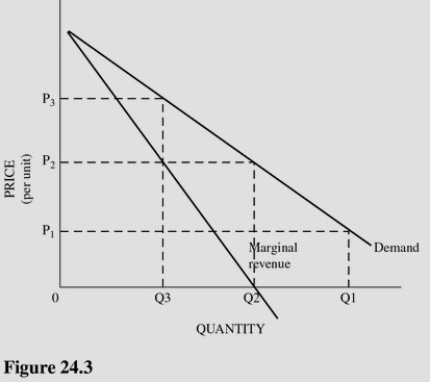   Refer to Figure 24.3.Which of the following statements is true about the price elasticity of demand at price P<sub>3</sub>? A) The price elasticity is elastic. B) The price elasticity is unitary. C) The price elasticity is inelastic. D) The price elasticity is zero.
