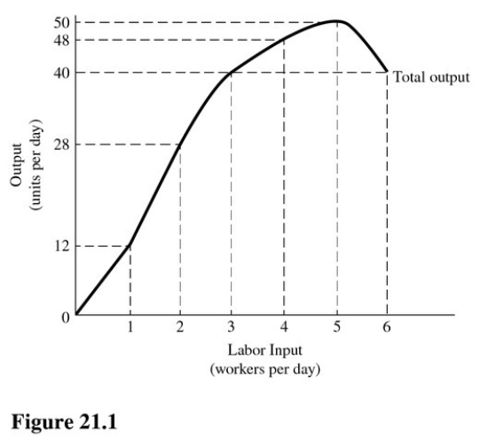 The marginal physical product of labor in Figure 21.1 is negative for the   A) Third worker. B) Fourth worker. C) Fifth worker. D) Sixth worker.