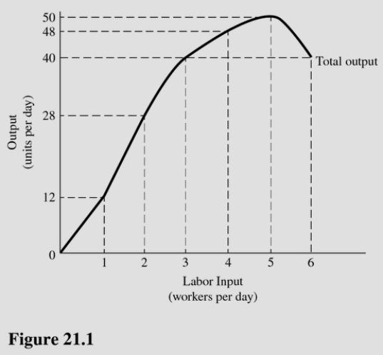 In Figure 21.1,diminishing marginal returns first occur with the   A) Fifth worker. B) Fourth worker. C) Third worker. D) Second worker.