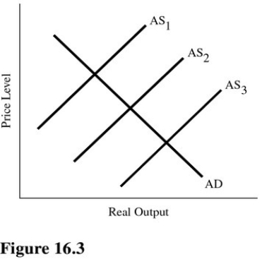   Refer to Figure 16.3.A shift from AS<sub>1</sub> to AS<sub>2</sub> could be caused by A) An increase in immigration restrictions. B) An increase in OSHA regulations. C) An increase in environmental regulations. D) A decrease in tariffs on imported goods.