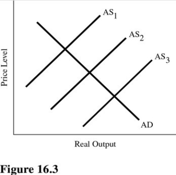   Refer to Figure 16.3.A shift from AS<sub>2</sub> to AS<sub>3</sub> could be caused by A) A decrease in immigration restrictions. B) Tougher FDA standards. C) An increase in the minimum wage. D) Tighter regulation of transportation services.