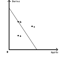 Figure 2-1    -Refer to Figure 2-1. Which point is not contained in the economically feasible consumption set? A)  a B)  b C)  c